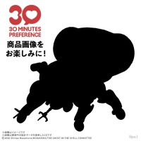 30 MINUTES PREFERENCE 攻壳机动队 塔奇克马