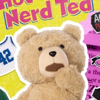泰迪熊2 泰迪熊 可动毛绒 Hot Nerd Ted