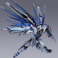 METAL BUILD  自由高达 概念2