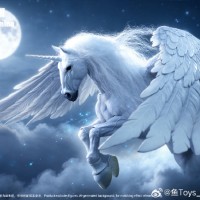 HY-040 天马 光之翼