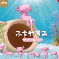 边缘午后休息～六角恐龙