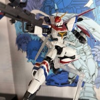 HG 龙骑1号机 Lifter1装备型[SPECIAL COATING]