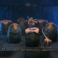 《异形》- 40周年纪念版 异形蛋 六件装配件包