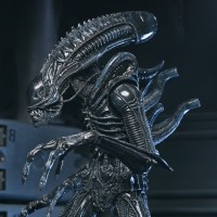 《异形》- 40周年纪念版 异形战士 终极可动人偶