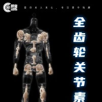 全齿轮关节素体
