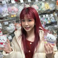 傅婷云