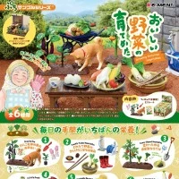 微缩摆件 小小样品 美味蔬菜培育日记