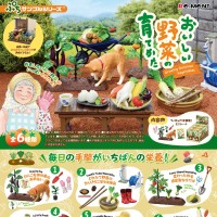 微缩摆件 小小样品 美味蔬菜培育日记