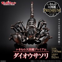生物大图鉴 PREMIUM 帝王蝎