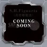 S.H.Figuarts（真骨雕制法） 假面骑士甲斗王系列新品