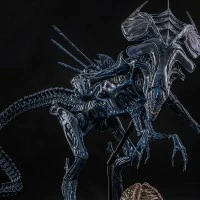 MMS903 《异形2》异形皇后
