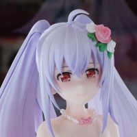 可塑性记忆 艾拉 婚纱