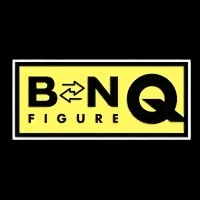 BN FIGURE Q