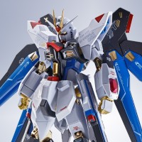 METAL ROBOT魂 ＜机动战士系列＞ 强袭自由高达 [Re:Coordinate]