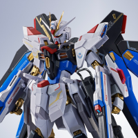 METAL ROBOT魂＜机动战士系列＞强袭自由高达二式