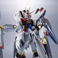 METAL ROBOT魂＜SIDE MS＞强袭自由高达