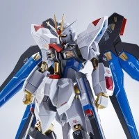 METAL ROBOT魂＜SIDE MS＞强袭自由高达 [Re:Coordinate]