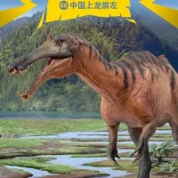 PNSO恐龙大王 成长陪伴模型66 中国上龙崇左