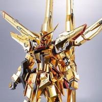 METAL ROBOT魂＜SIDE MS＞拂晓高达（不知火装备）