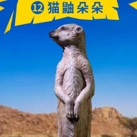 PNSO动物园成长陪伴模型12 猫鼬朵朵