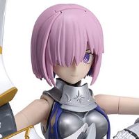30MS  盾兵/玛修·基列莱特 [圣骑士]