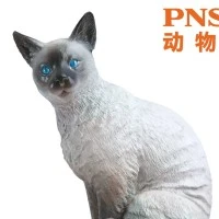 PNSO动物园成长陪伴模型13 暹罗猫萨利亚