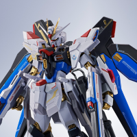 METAL ROBOT魂＜SIDE MS＞强袭自由高达二式