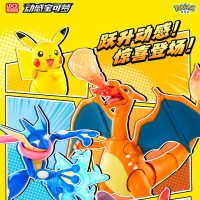 宝可梦 动感宝可梦