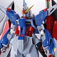 METAL ROBOT魂＜SIDE MS＞命运高达