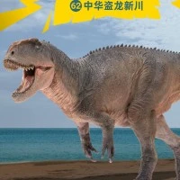 PNSO恐龙大王 成长陪伴模型62 中华盗龙新川
