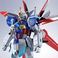 METAL ROBOT魂＜SIDE MS＞威力型脉冲高达