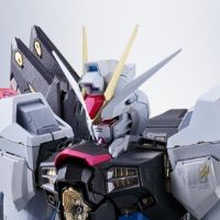 METAL BUILD 强袭自由高达 ＜重生版＞