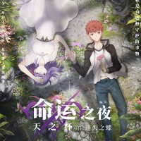 剧场版 命运之夜——天之杯II ：迷失之蝶