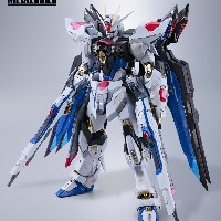 METAL BUILD 强袭自由高达 ＜重生版＞