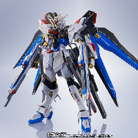 METAL ROBOT魂＜SIDE MS＞强袭自由高达二式