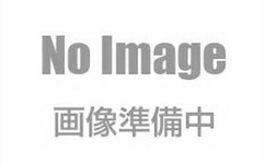 关于本店赤坂露依 手办被开封的说明及补偿措施