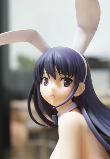 灰色的果实  榊由美子