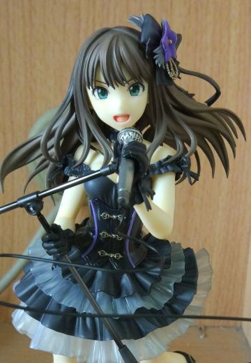 偶像大师 灰姑娘女孩 渋谷凛 New Generation Ver