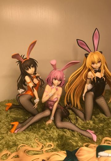 FREEing 结城美柑 兔女郎