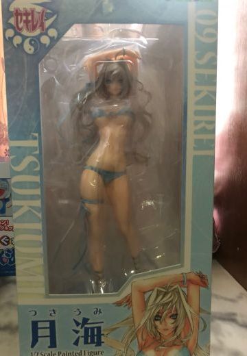 完了，进入手办新坑了