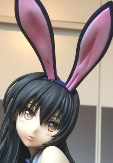 Freeing兔女郎战队——古手川唯