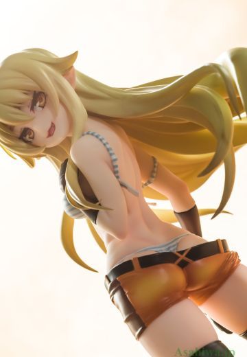 足利茶茶丸  实物测评