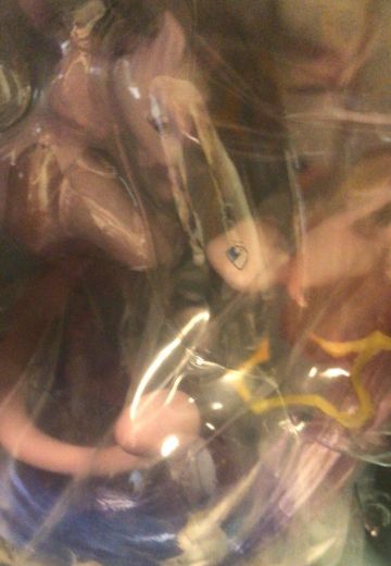 MegaHou 超梦and梦幻