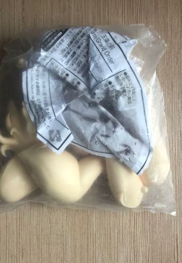 上海WF2018 宫川武 fate玉藻前水着GK原模到货