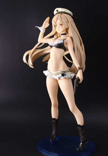 Avian Romance 丽色军舰鸟