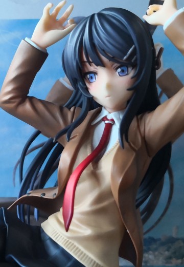 寿屋的樱岛麻衣（重新拍照上传）