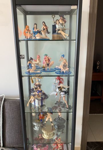 更新自己的小柜子