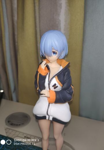 穿着486衣服的蕾姆