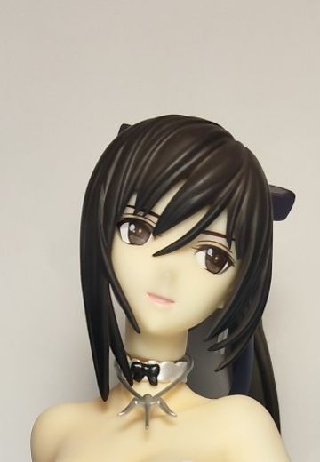 秋叶原中古店淘的，貌似很稀有？大佬们估个价