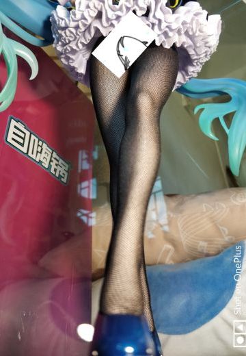 一只巨大的兔mikuヽ(=^･ω･^=)丿